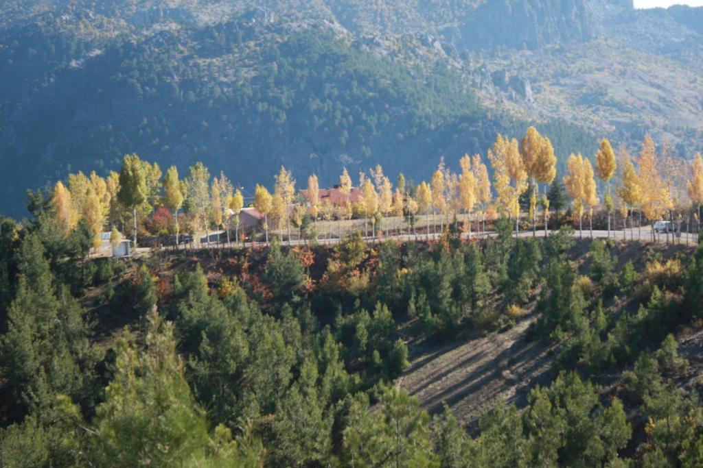 St.Paul Yol Pansiyon Kasımlar Exterior foto