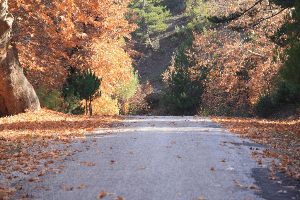 St.Paul Yol Pansiyon Kasımlar Exterior foto